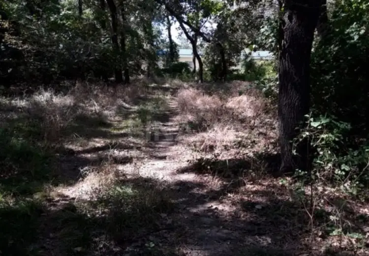 300 sot Torpaq Satılır, Şabran