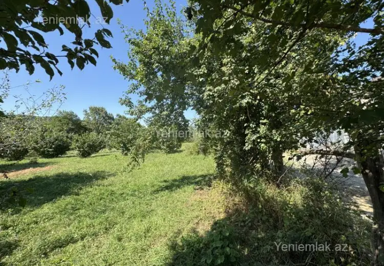 12 sot Torpaq Satılır, Quba