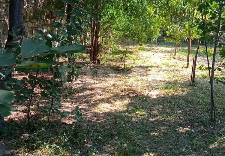 0 m² Obyekt / Ofis , Göyçay