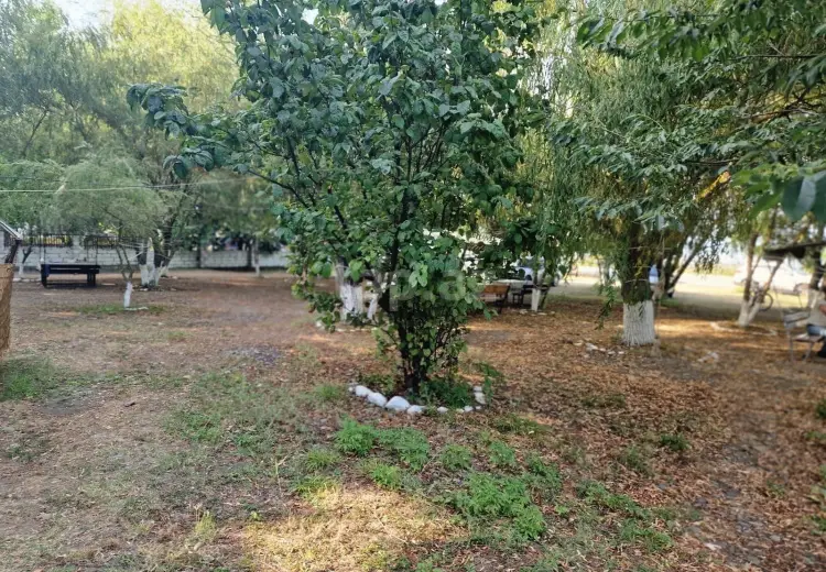 0 m² Obyekt / Ofis , Nabran