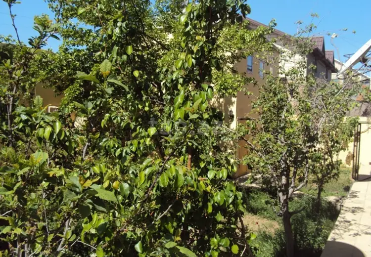 5 otaqlı mənzil , Bakı
