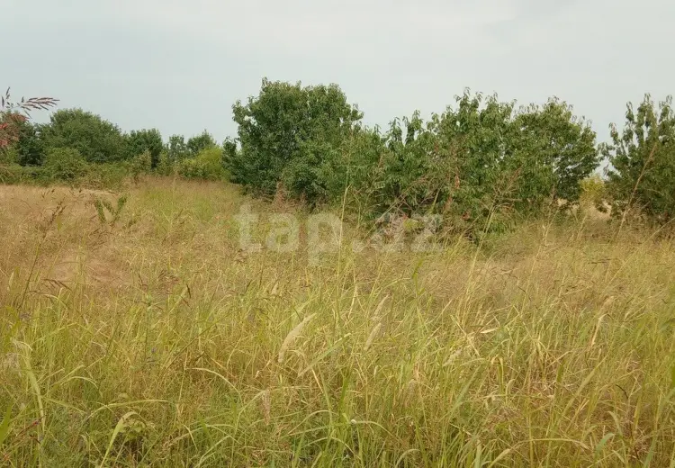 0 m² Obyekt / Ofis , Quba