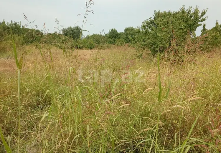0 m² Obyekt / Ofis , Quba