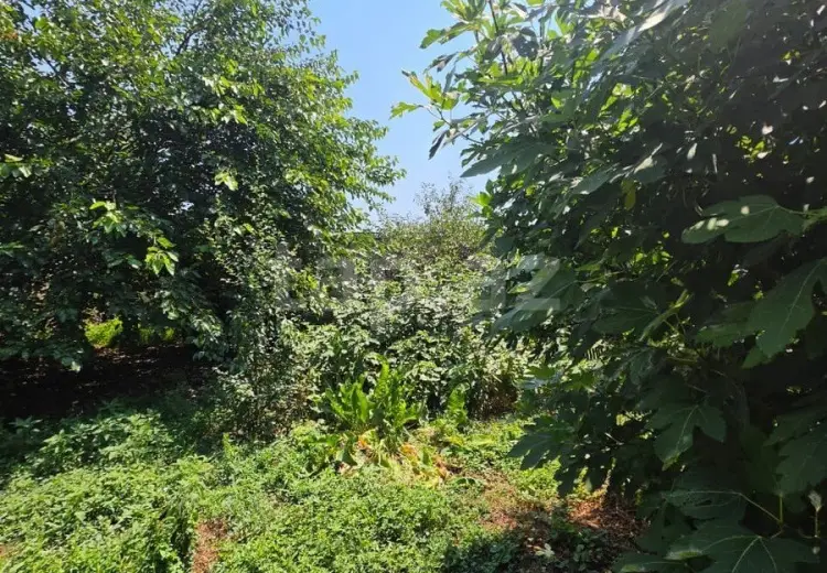 8 otaqlı mənzil , Quba