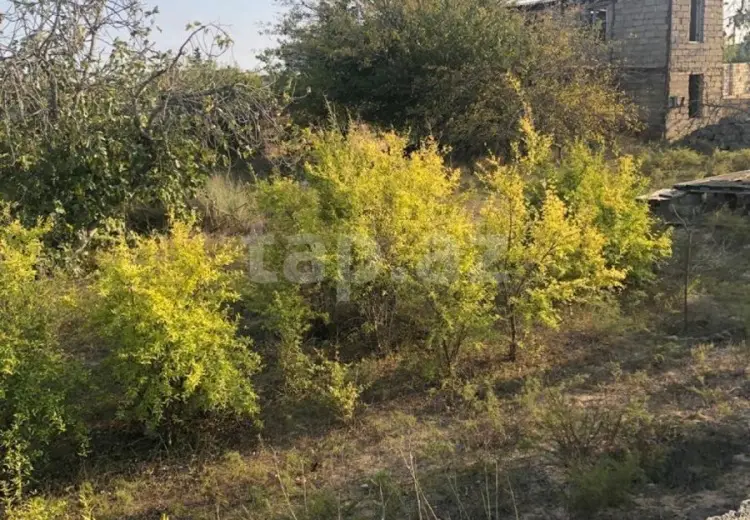0 m² Obyekt / Ofis , Bakı