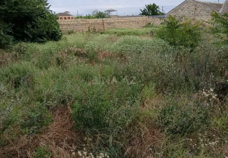 9 sot Torpaq Satılır, Pirşağı qəs., Sabunçu, Bakı