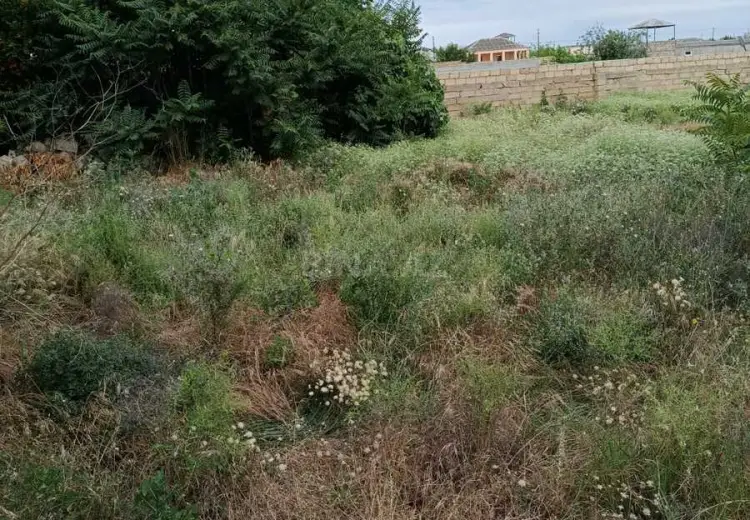 9 sot Torpaq Satılır, Pirşağı qəs., Sabunçu, Bakı