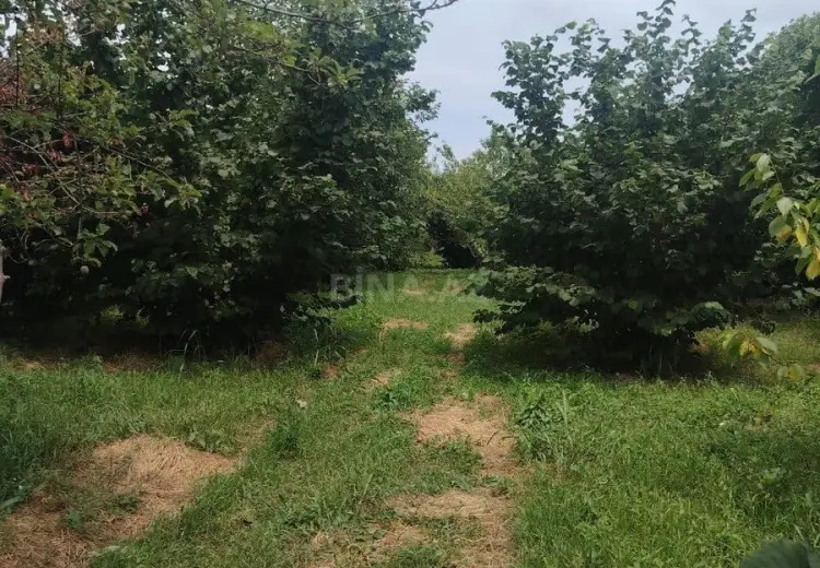 10 sot Torpaq Satılır, Quba