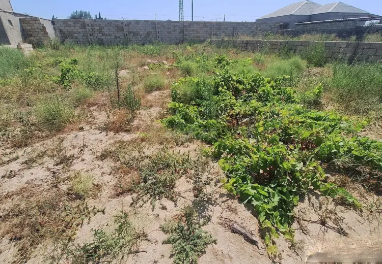 5 sot Torpaq Satılır, Nardaran qəs., Sabunçu, Bakı