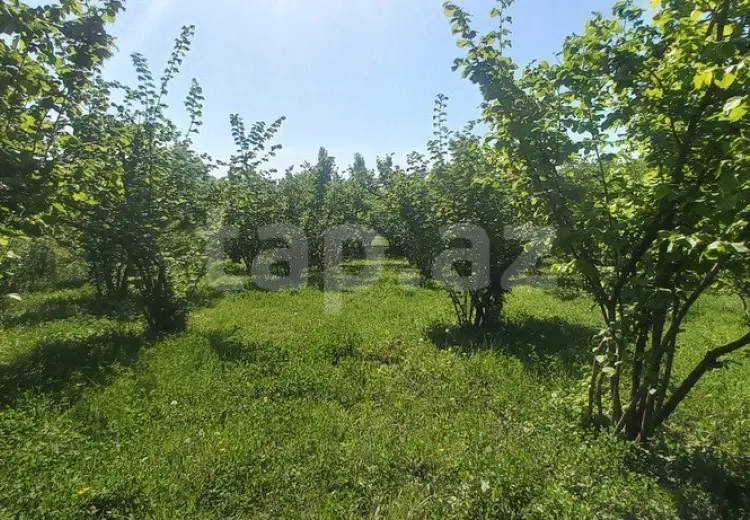 2 otaqlı mənzil , Qusar