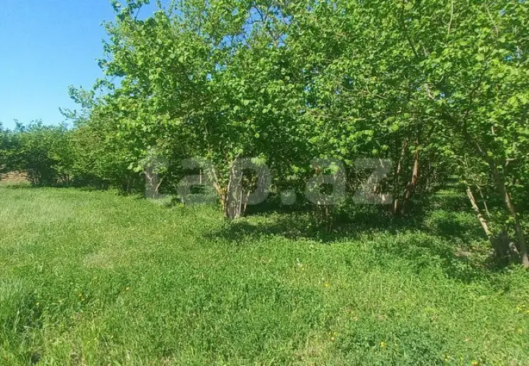 2 otaqlı mənzil , Qusar