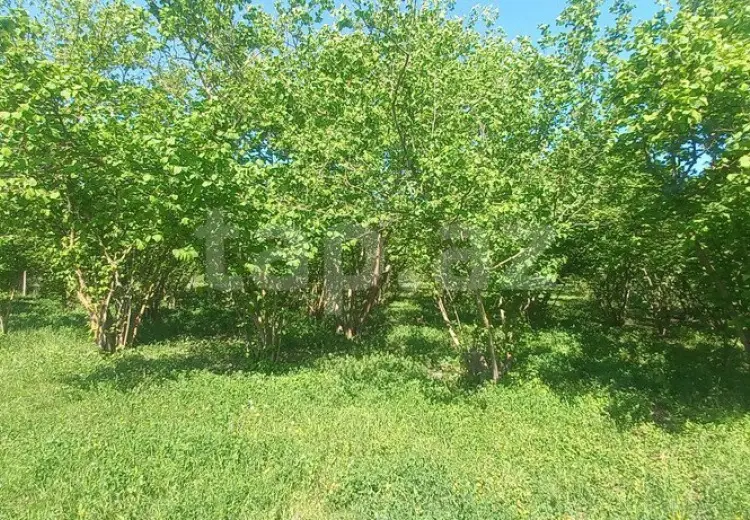 2 otaqlı mənzil , Qusar