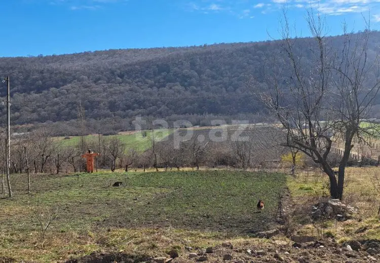 0 m² Obyekt / Ofis , Qusar