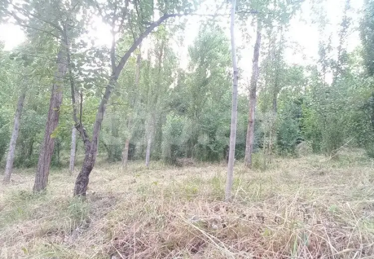 0 m² Obyekt / Ofis , Qusar