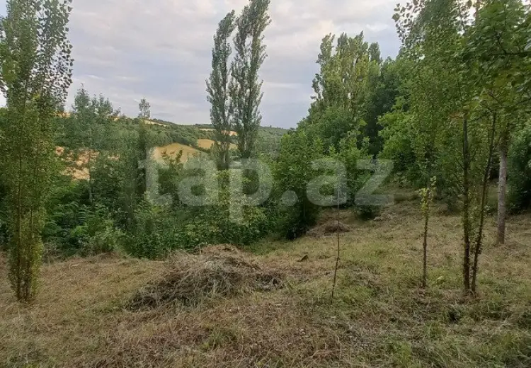 0 m² Obyekt / Ofis , Qusar