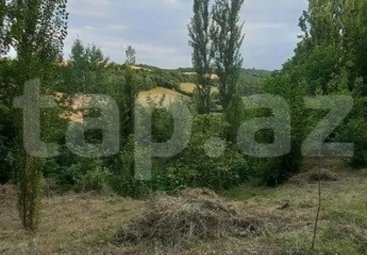 0 m² Obyekt / Ofis , Qusar