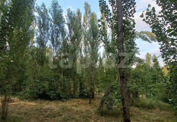 0 m² Obyekt / Ofis , Qusar
