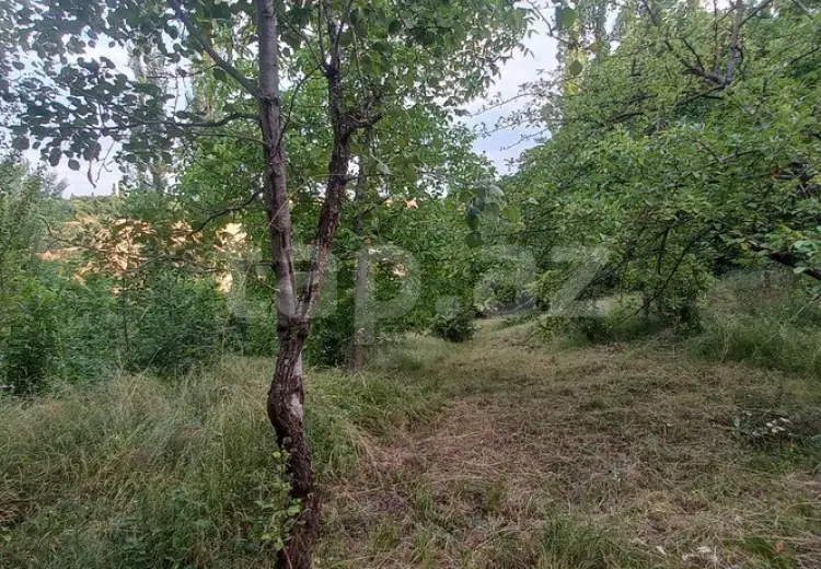 0 m² Obyekt / Ofis , Qusar