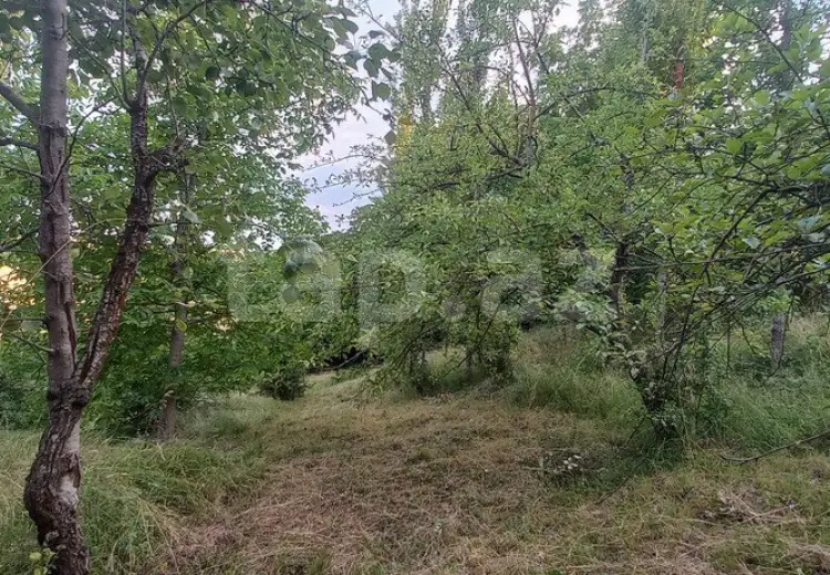 0 m² Obyekt / Ofis , Qusar