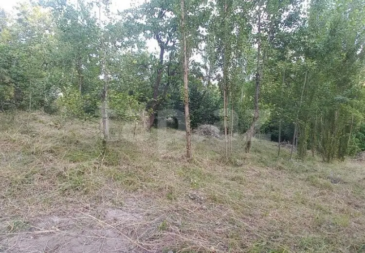 0 m² Obyekt / Ofis , Qusar
