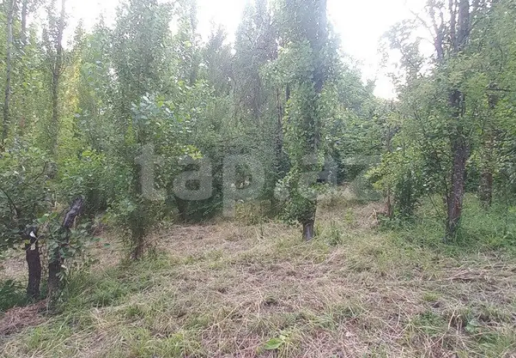 0 m² Obyekt / Ofis , Qusar