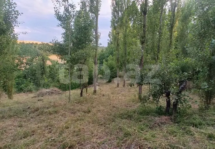 0 m² Obyekt / Ofis , Qusar