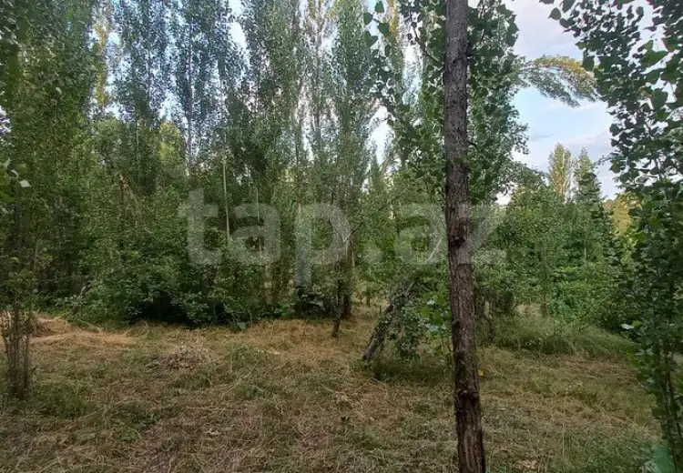 0 m² Obyekt / Ofis , Qusar