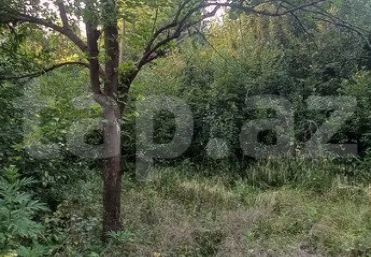 0 m² Obyekt / Ofis , Qusar