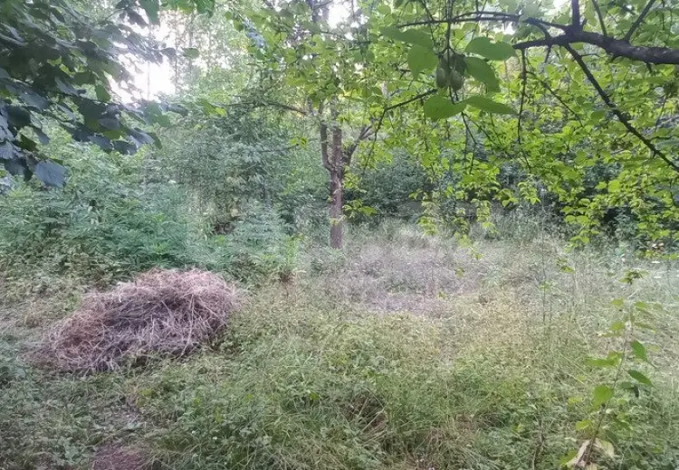 0 m² Obyekt / Ofis , Qusar