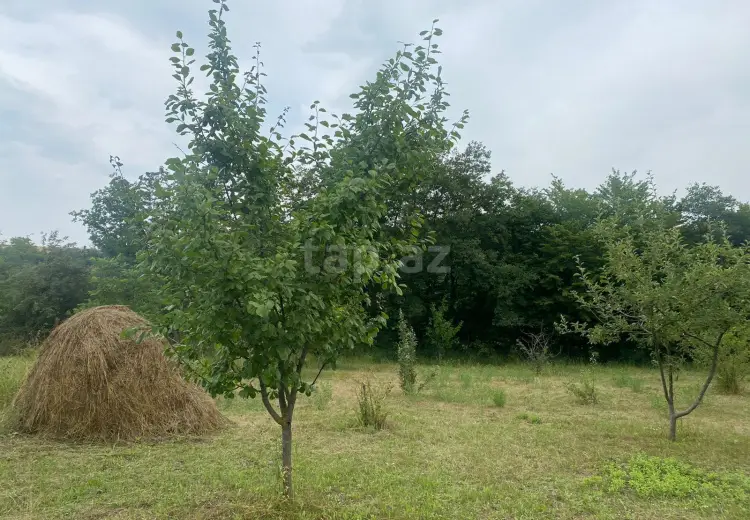 4 otaqlı mənzil , Qusar