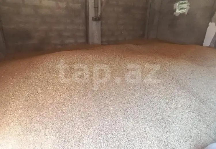 5 otaqlı mənzil , Qusar