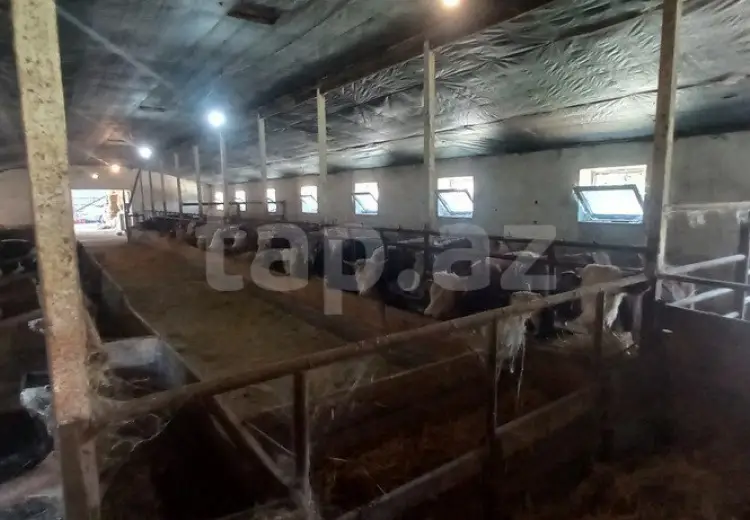 5 otaqlı mənzil , Qusar