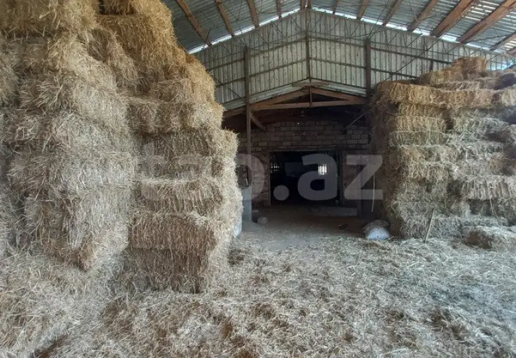 5 otaqlı mənzil , Qusar