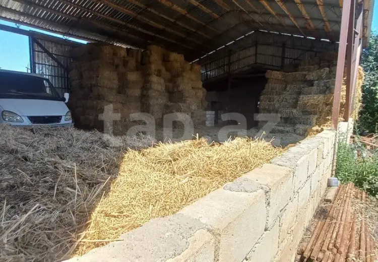 5 otaqlı mənzil , Qusar