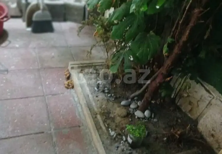 350 AZN - 2 otaqlı mənzil Kirayə (aylıq), Xətai, Bakı