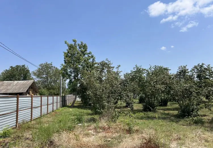 54 sot Torpaq Satılır, Qəbələ
