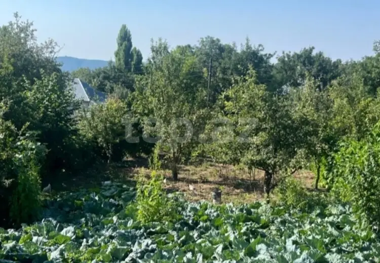 0 m² Obyekt / Ofis , Şamaxı