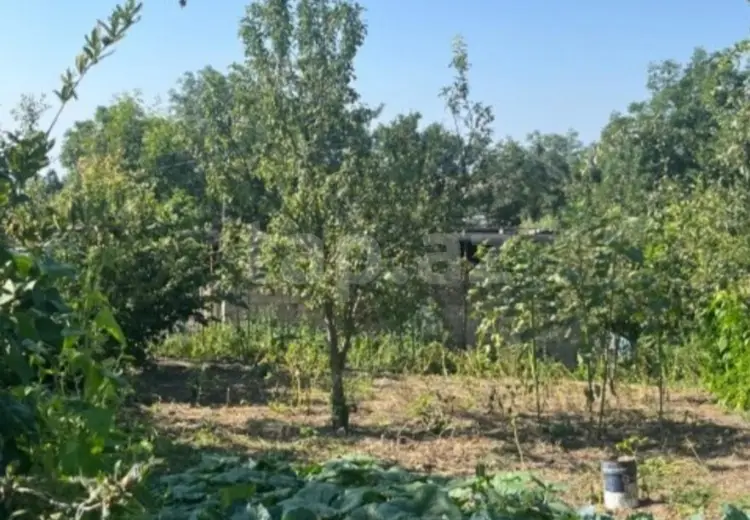 0 m² Obyekt / Ofis , Şamaxı