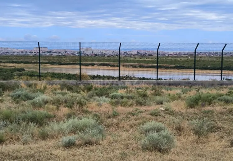 6 sot Torpaq Satılır, Saray, Abşeron