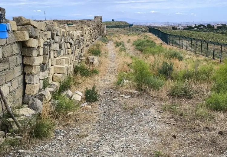6 sot Torpaq Satılır, Saray, Abşeron