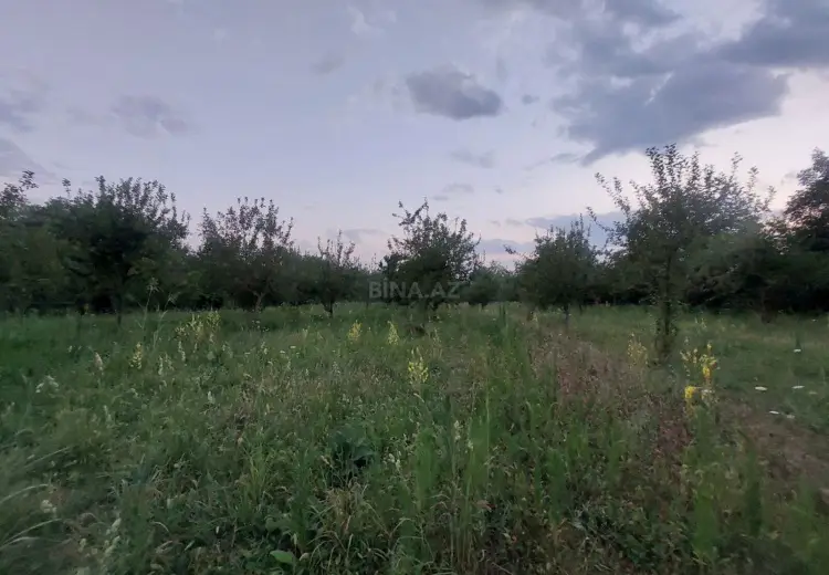 71 sot Torpaq Satılır, Qəbələ