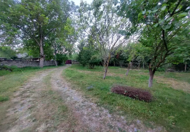 71 sot Torpaq Satılır, Qəbələ
