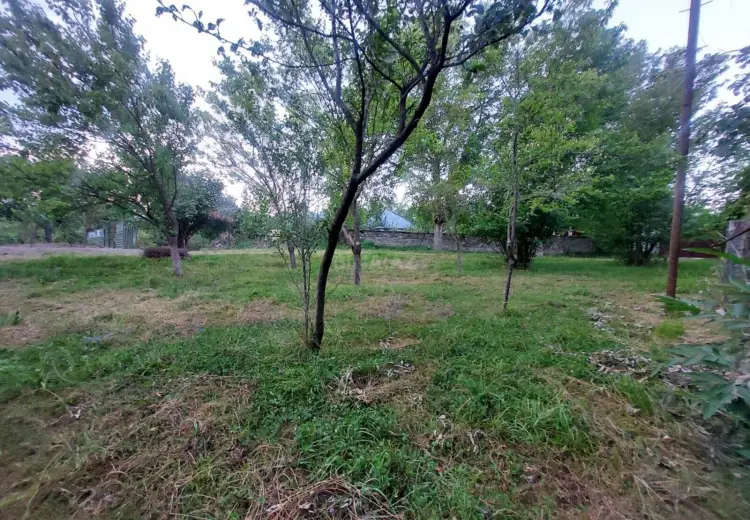 71 sot Torpaq Satılır, Qəbələ