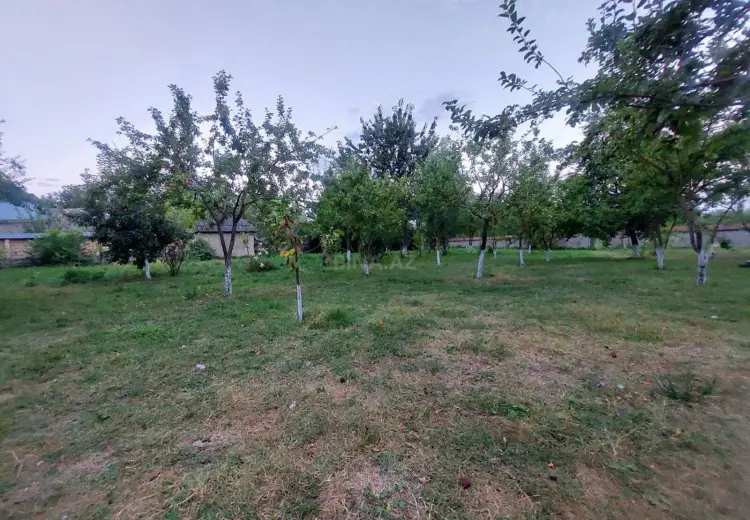71 sot Torpaq Satılır, Qəbələ