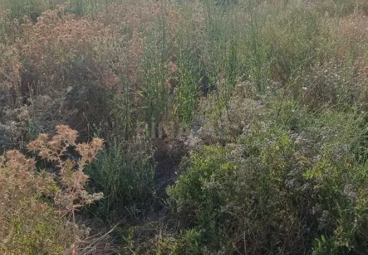 3.8 sot Torpaq Satılır, Mehdiabad, Abşeron