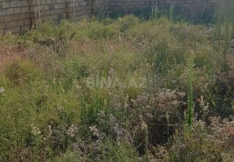 3.8 sot Torpaq Satılır, Mehdiabad, Abşeron
