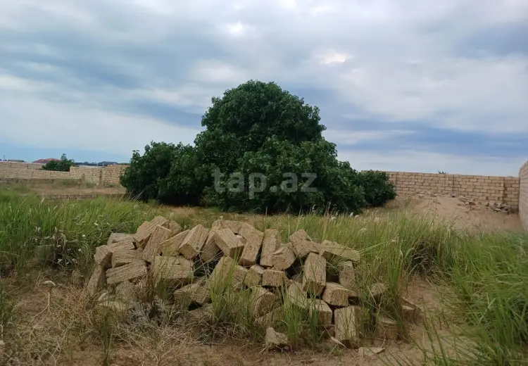 0 m² Obyekt / Ofis , Bilgəh qəs., Sabunçu, Bakı