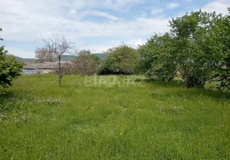 0 m² Obyekt / Ofis , Qəbələ
