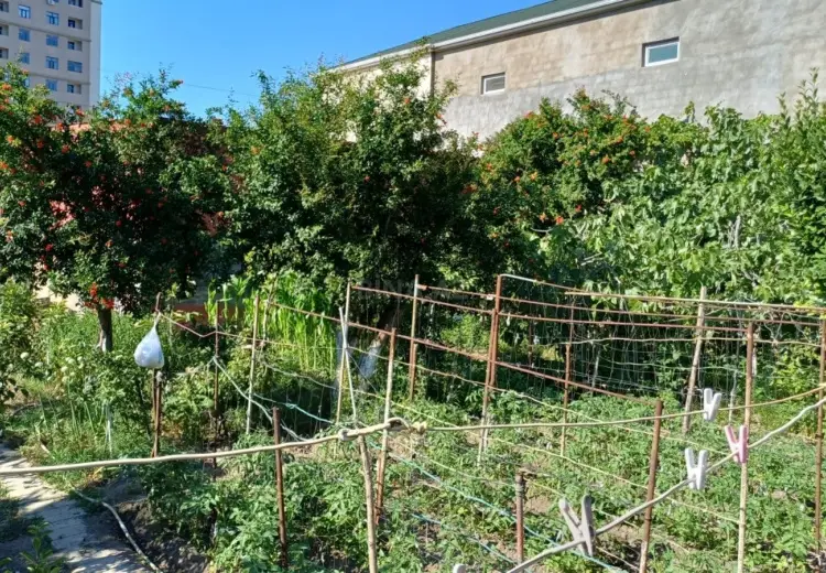3 sot Torpaq Satılır, Bakıxanov qəs., Sabunçu, Bakı