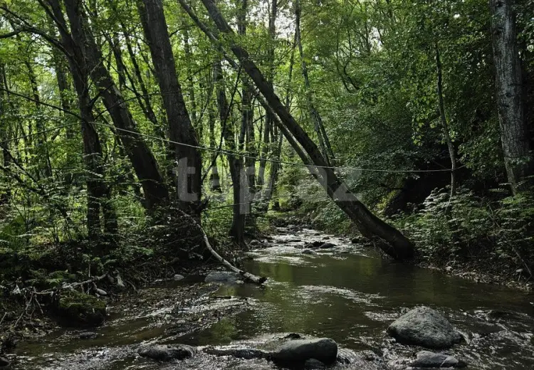 3 otaqlı mənzil Kirayə (günlük), Lerik